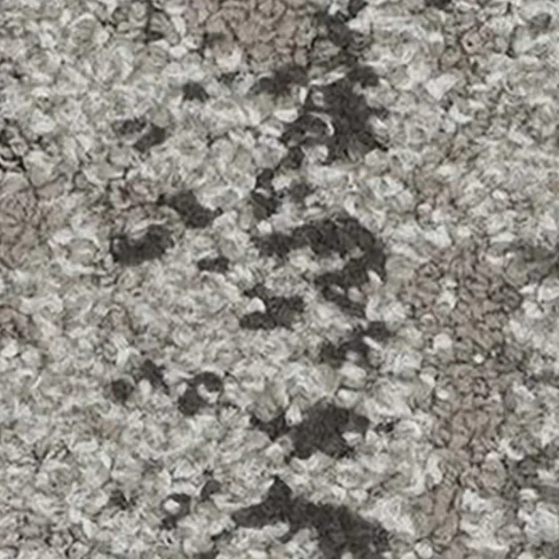 Ảnh 30101105
