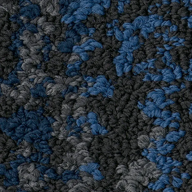 Ảnh 31005486