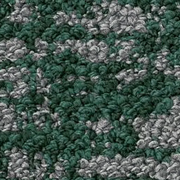 37171396 – Enclave (Shifting Fields)