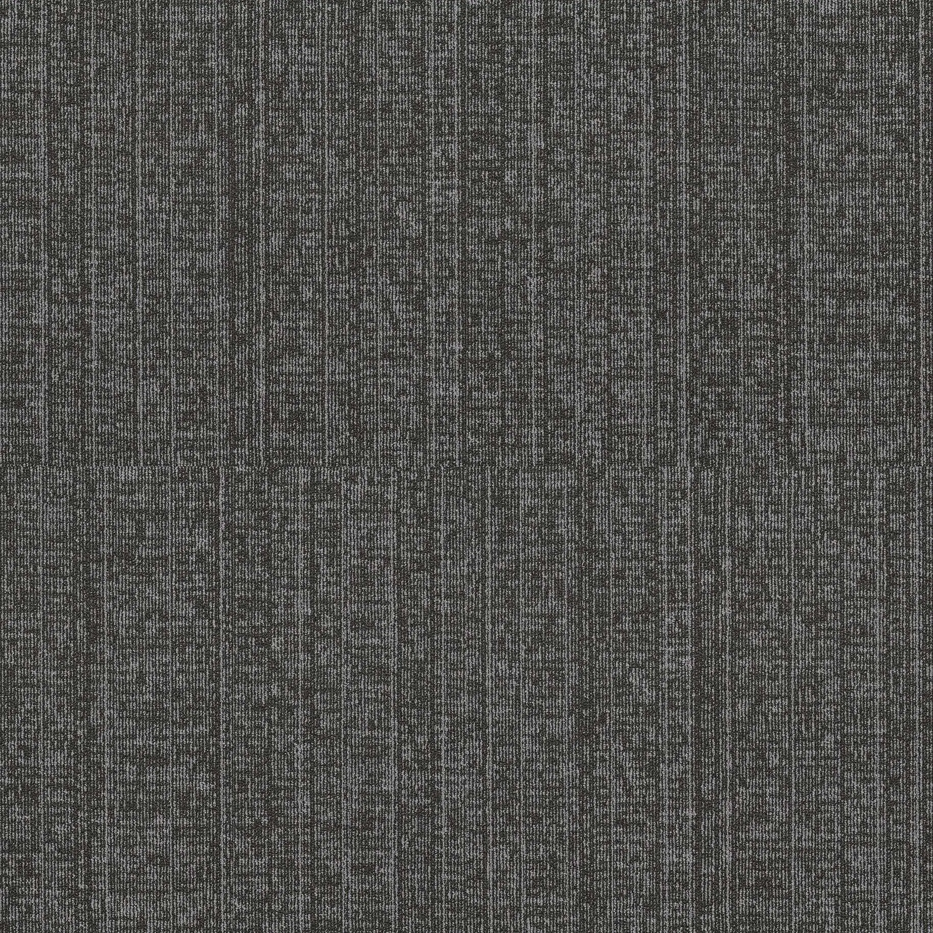 Sàn & Thảm 43938500 – Collective (ảnh ghép lát)