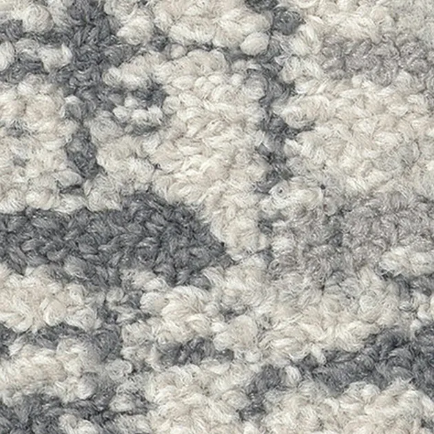 Ảnh 48787510
