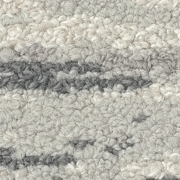 Ảnh 48887510