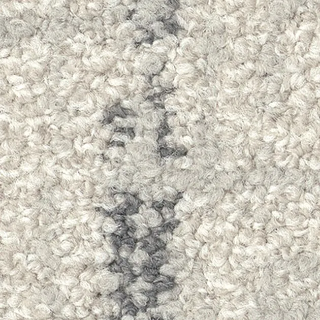 Ảnh 48987510