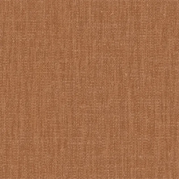 AC1237 — ảnh 5
