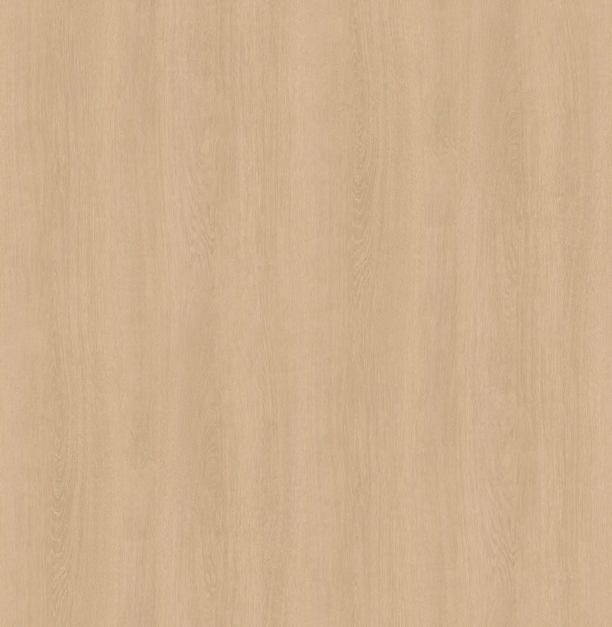 BC5459 — ảnh 2