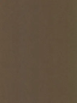 Film Trang Trí BR-540 – Bronze Cát (Belbien Metal) (họa tiết lặp)