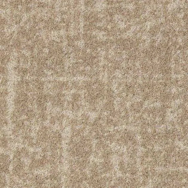 Ảnh DT1201