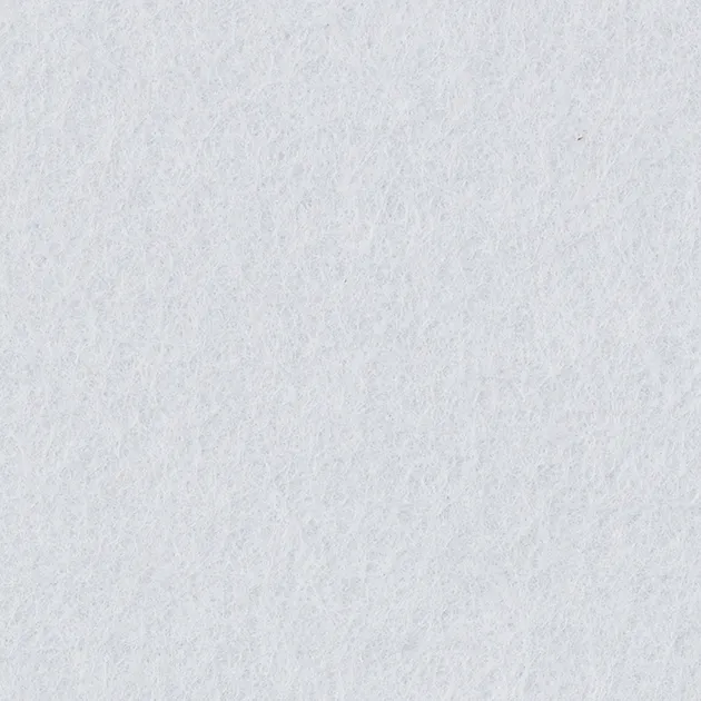 ECH-101 — ảnh 3