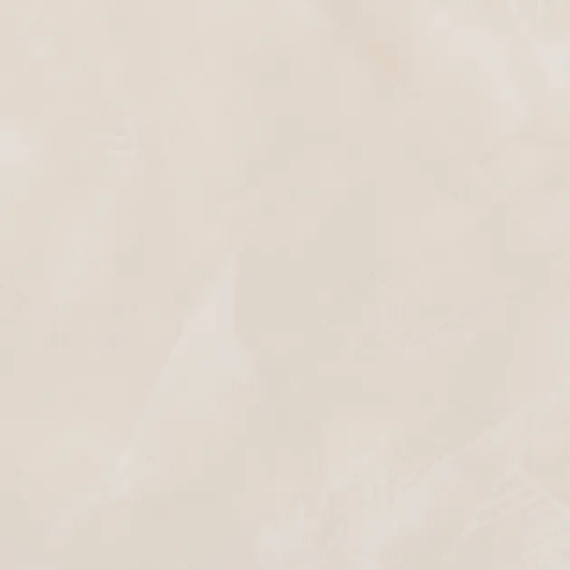 EV-4569 — ảnh 1