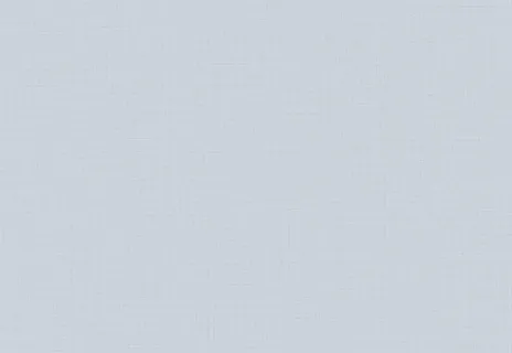 Giấy Dán Tường FE78575 – 2026-2029 Fine (họa tiết lặp)