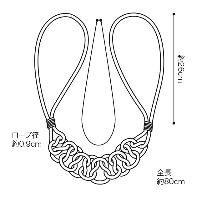 FN1493 — ảnh 2