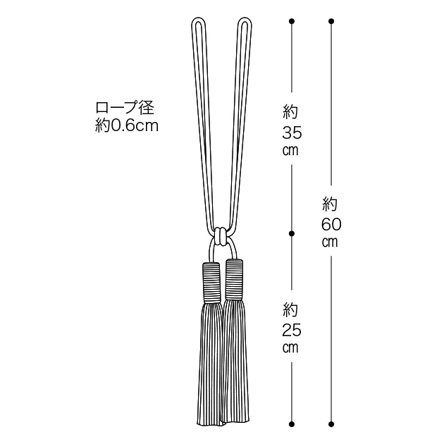 FN534 — ảnh 2
