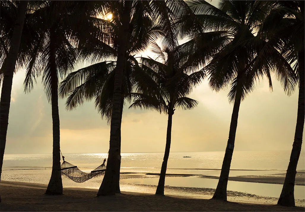 Mẫu vật liệu HZ-7013M