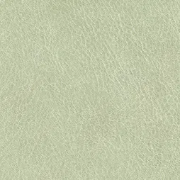 Leather – Vân Da