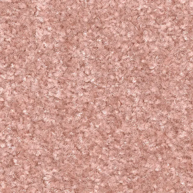 KIT5637 — ảnh 4