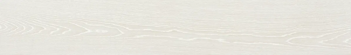 MF101 — ảnh 11