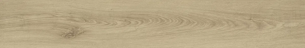 MF102 — ảnh 8