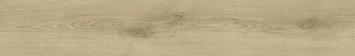 MF102 — ảnh 12