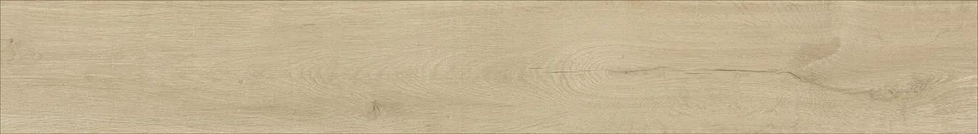 MF151 — ảnh 11