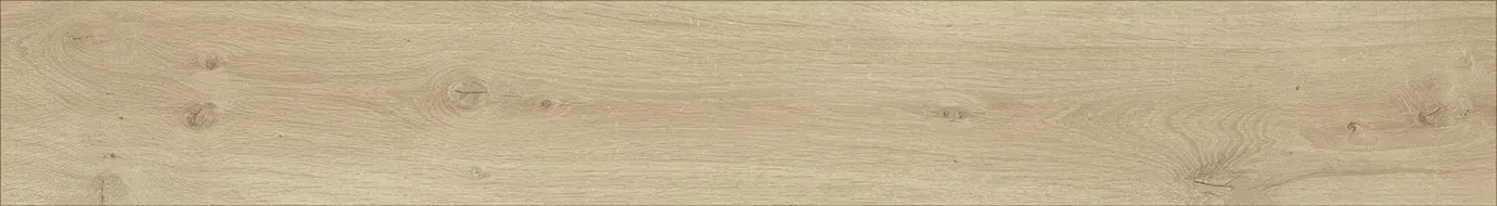 MF151 — ảnh 9