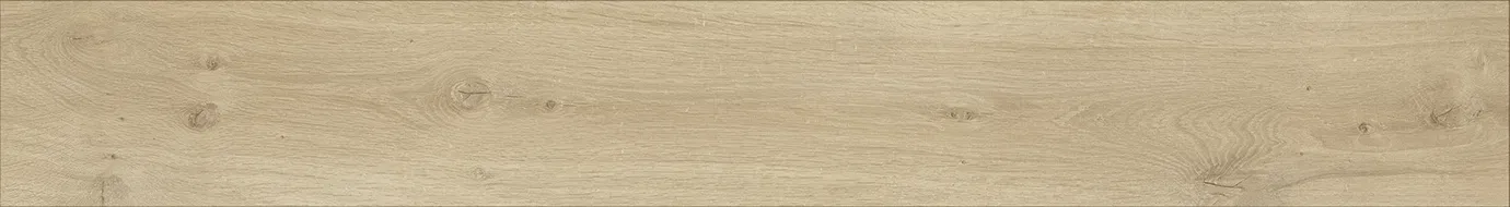 MF151 — ảnh 13