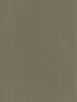 Film Trang Trí MR-1030 – Champagne Gold (Belbien MR) (họa tiết lặp)
