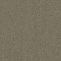 MR-1030 – Champagne Gold (Belbien MR)