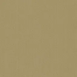 MR-1040 – Mist Gold (Belbien MR)
