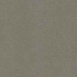 Film Trang Trí MR-2130 – Champagne Gold (Belbien MR) (mẫu vật liệu)