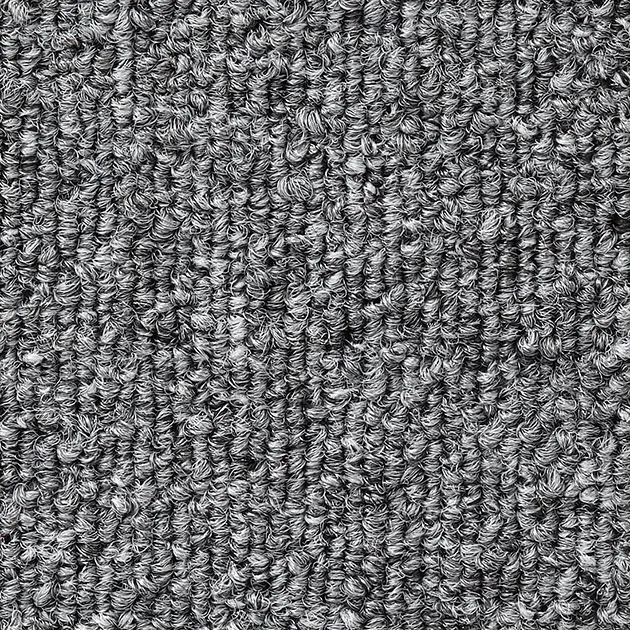 NT337 — ảnh 3