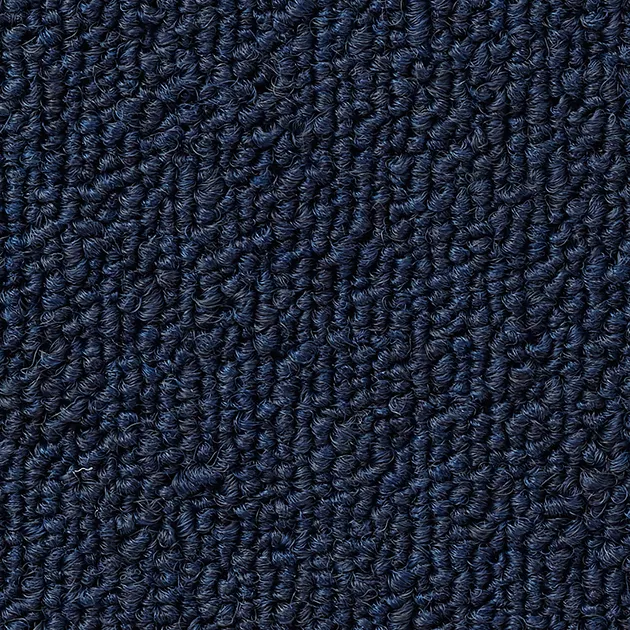 NT360 — ảnh 3