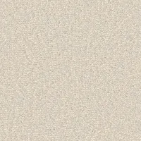 OSR5181A — ảnh 2