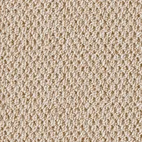 Sàn & Thảm PAR1151A – SAN PENTAGON II · PLAIN (2023-2026 Thảm Cuộn Tổng Hợp) (họa tiết lặp)