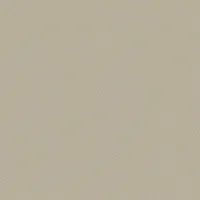 RE55037 — ảnh 4