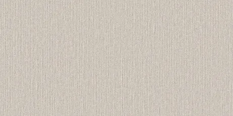 RE55106 — ảnh 4