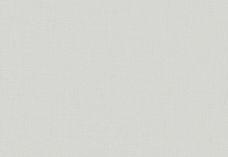 RE55566 — ảnh 4