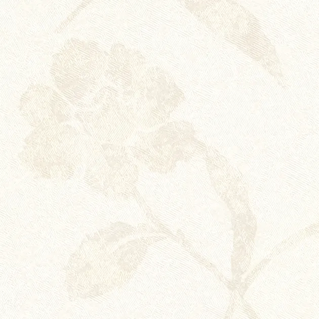 RE55920 — ảnh 3