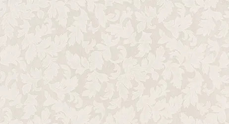 RE55921 — ảnh 4