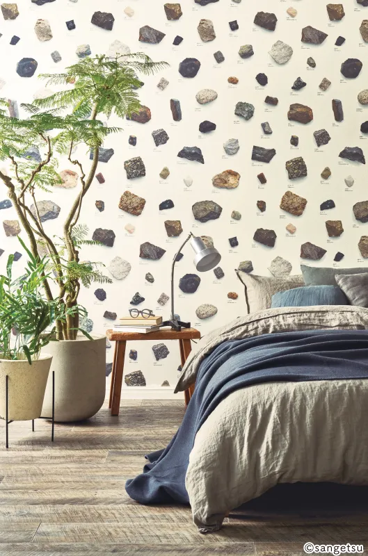 Giấy Dán Tường RE55945 – Rocks (2024-2027 Reserve) (phối cảnh 1)