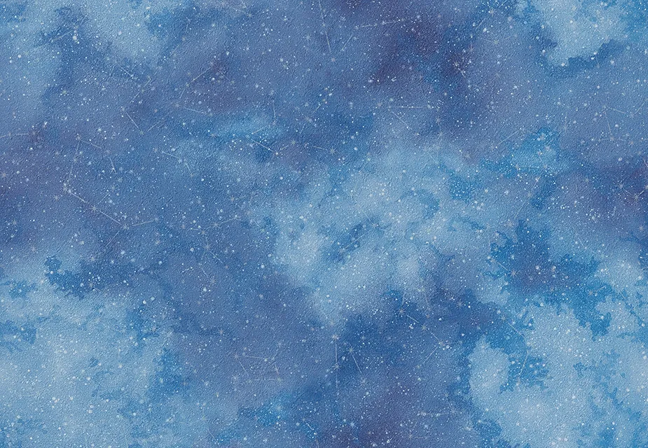 RE55956 — ảnh 6