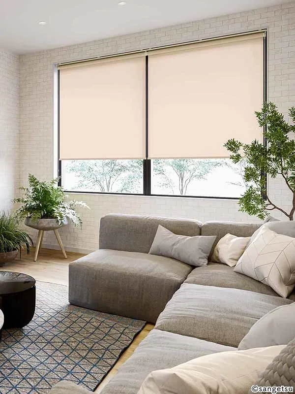 Rèm Cửa RS117 – Select Color 40 R (RB Collection Vol.1) (phối cảnh 1)