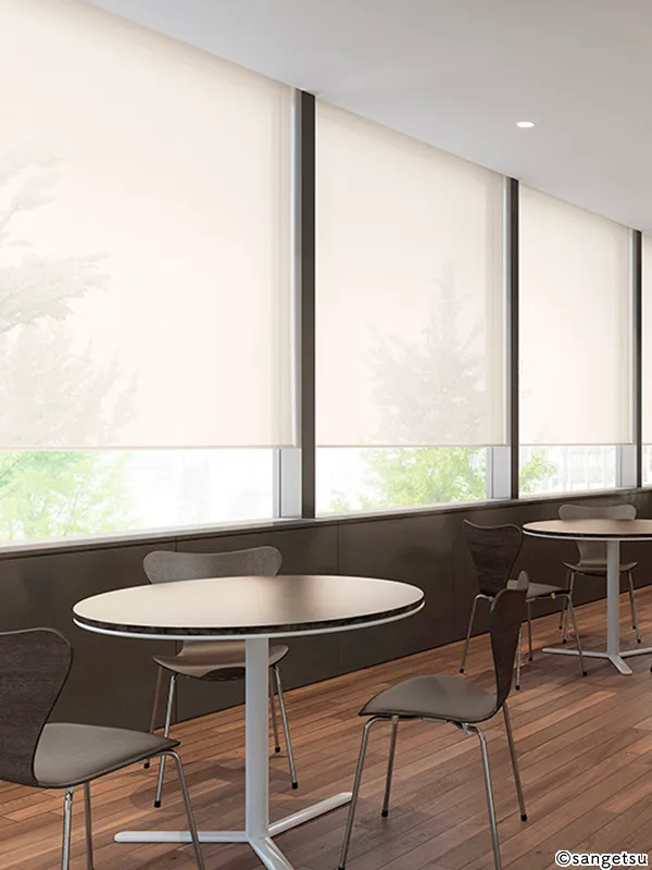 Rèm Cửa RS224 – Grasse (RB Collection Vol.1) (phối cảnh 1)