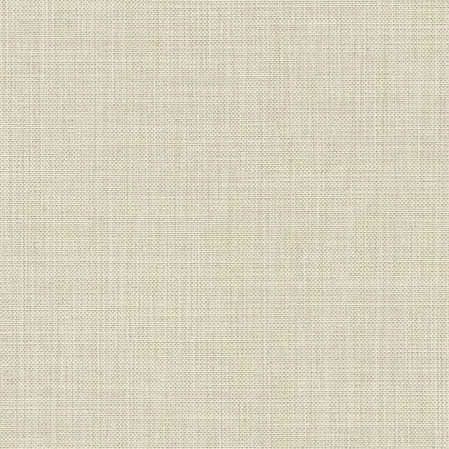 RS260 — ảnh 3