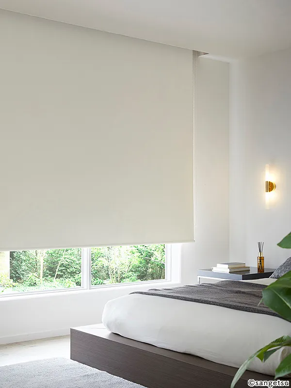 RS260 — ảnh 2