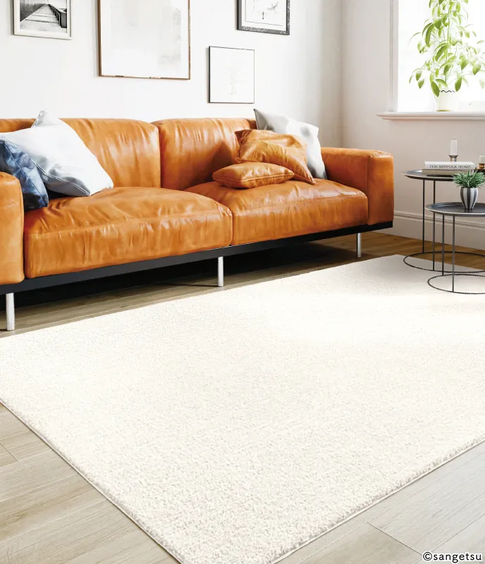RUG1711S — ảnh 3