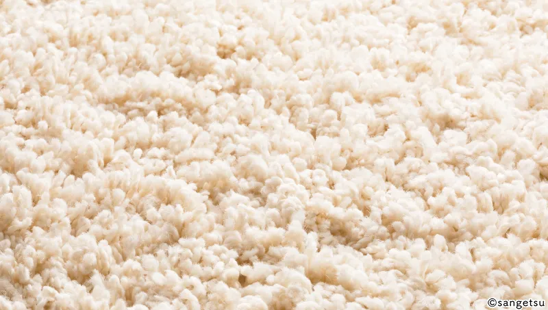 Sàn & Thảm RUG1741W – SOFT TWIST (2023-2026 Thảm Cuộn Tổng Hợp) (phối cảnh 2)