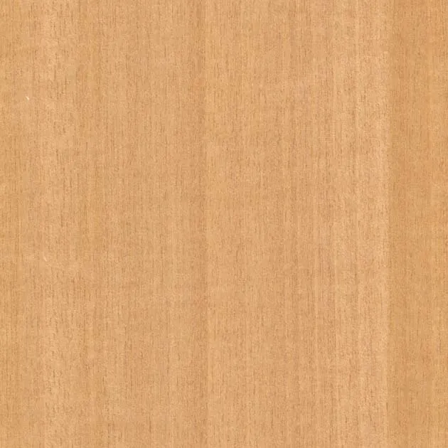 Giấy Dán Tường SGC158S – WILL WOOD – Giấy dán tường veneer gỗ tự nhiên (2025-2028 FAITH) (mẫu vật liệu)