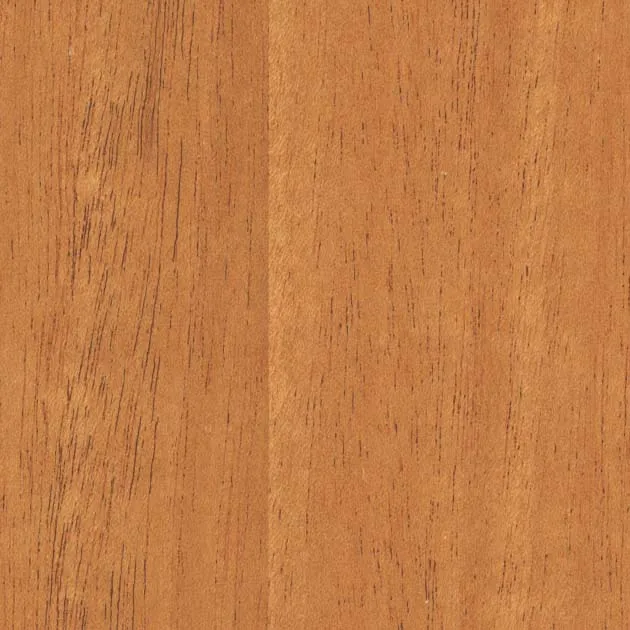 Giấy Dán Tường SGC161L – WILL WOOD – Giấy dán tường veneer gỗ tự nhiên (2025-2028 FAITH) (mẫu vật liệu)