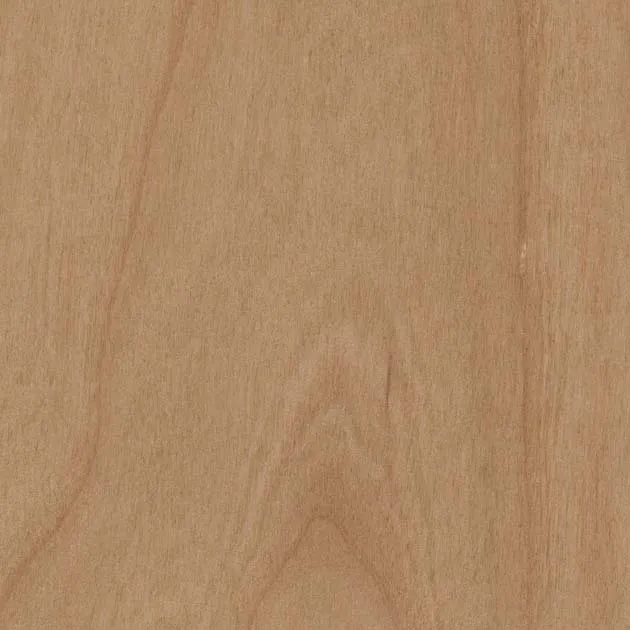 Giấy Dán Tường SGC168-S – WILL WOOD – Giấy dán tường veneer gỗ tự nhiên (2025-2028 FAITH) (mẫu vật liệu)
