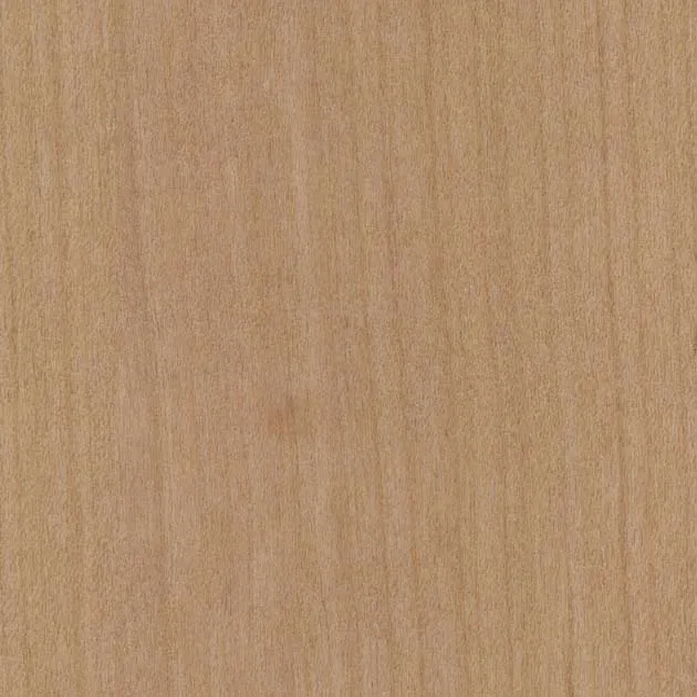 Giấy Dán Tường SGC169-S – WILL WOOD – Giấy dán tường veneer gỗ tự nhiên (2025-2028 FAITH) (mẫu vật liệu)